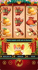 rp6 · Fortune Mouse